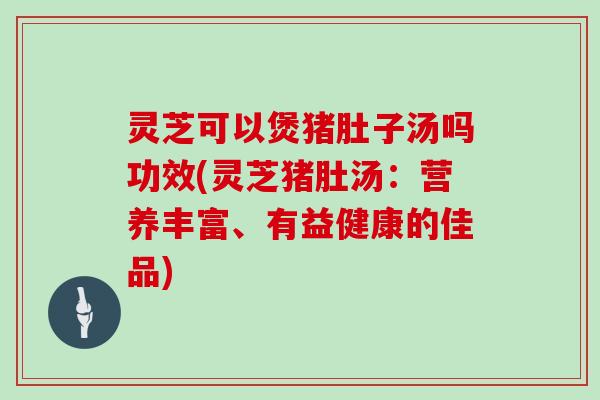 灵芝可以煲猪肚子汤吗功效(灵芝猪肚汤：营养丰富、有益健康的佳品)