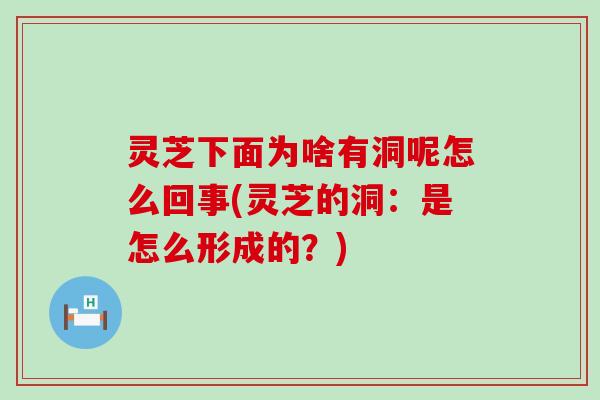 灵芝下面为啥有洞呢怎么回事(灵芝的洞：是怎么形成的？)