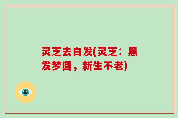 灵芝去白发(灵芝：黑发梦回，新生不老)