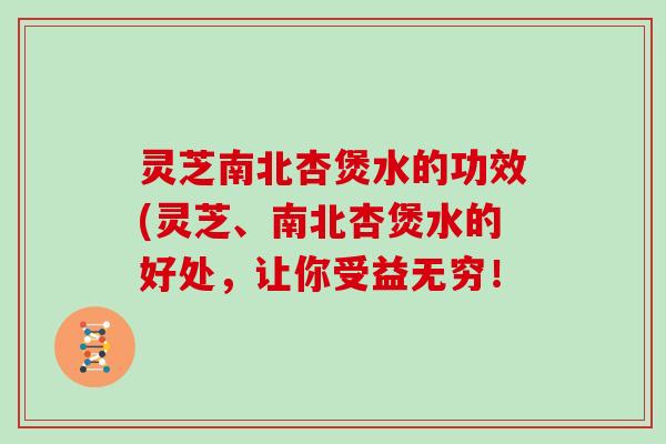 灵芝南北杏煲水的功效(灵芝、南北杏煲水的好处，让你受益无穷！