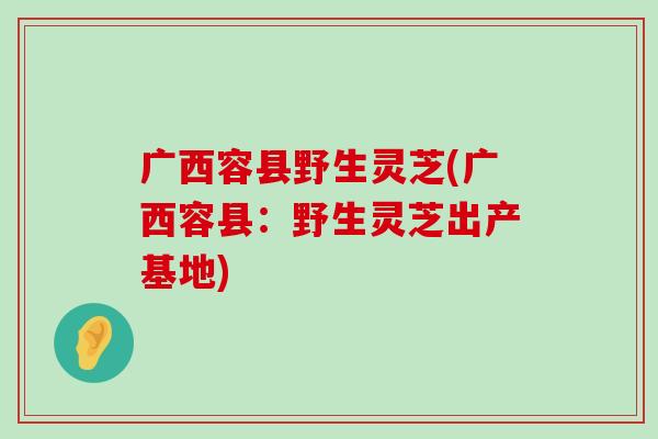 广西容县野生灵芝(广西容县：野生灵芝出产基地)