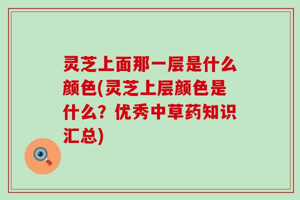 灵芝上面那一层是什么颜色(灵芝上层颜色是什么？优秀中草药知识汇总)