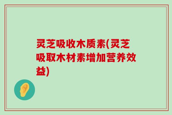 灵芝吸收木质素(灵芝吸取木材素增加营养效益)