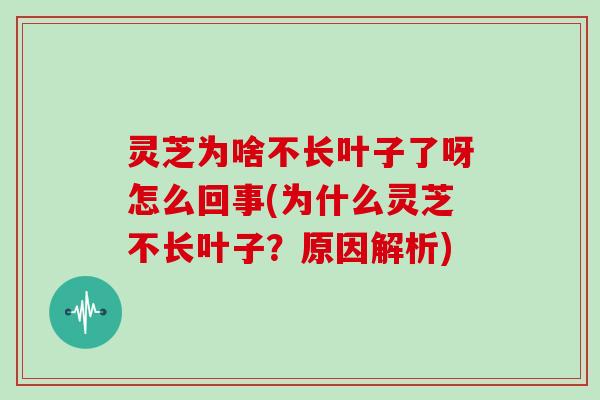 灵芝为啥不长叶子了呀怎么回事(为什么灵芝不长叶子？原因解析)