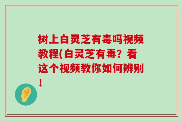 树上白灵芝有毒吗视频教程(白灵芝有毒？看这个视频教你如何辨别！