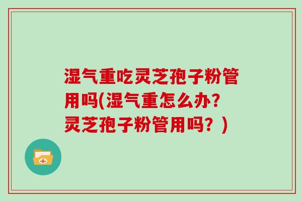 湿气重吃灵芝孢子粉管用吗(湿气重怎么办？灵芝孢子粉管用吗？)