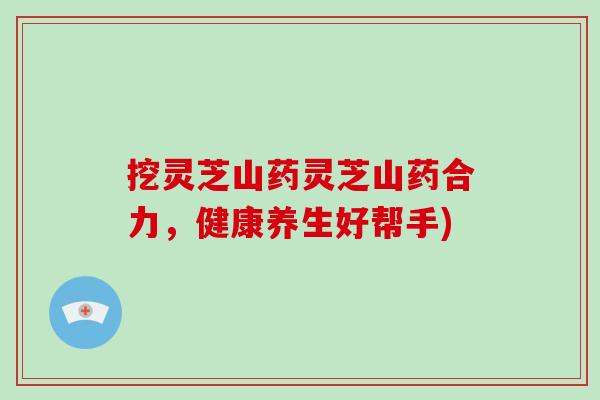 挖灵芝山药灵芝山药合力，健康养生好帮手)