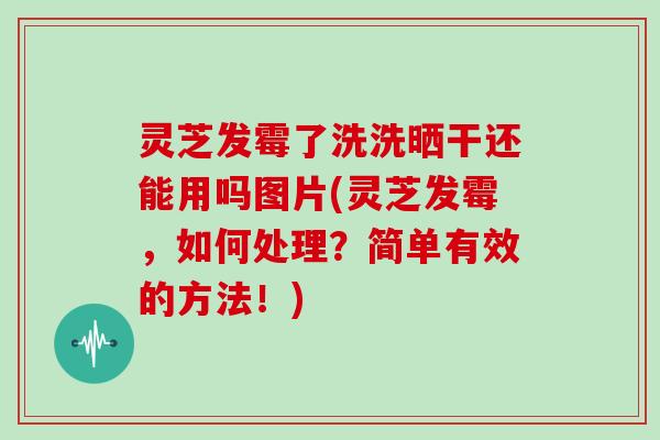 灵芝发霉了洗洗晒干还能用吗图片(灵芝发霉，如何处理？简单有效的方法！)