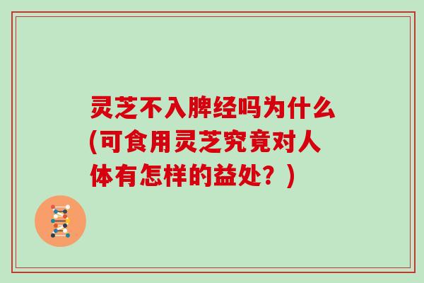 灵芝不入脾经吗为什么(可食用灵芝究竟对人体有怎样的益处？)