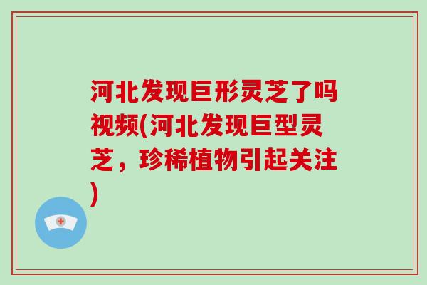 河北发现巨形灵芝了吗视频(河北发现巨型灵芝，珍稀植物引起关注)