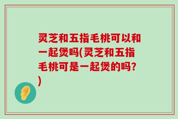 灵芝和五指毛桃可以和一起煲吗(灵芝和五指毛桃可是一起煲的吗？)