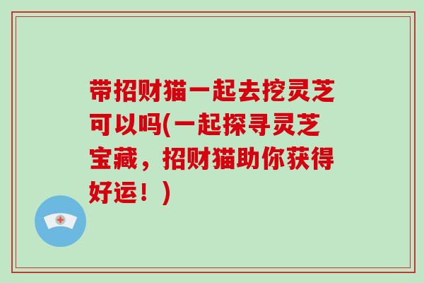 带招财猫一起去挖灵芝可以吗(一起探寻灵芝宝藏，招财猫助你获得好运！)