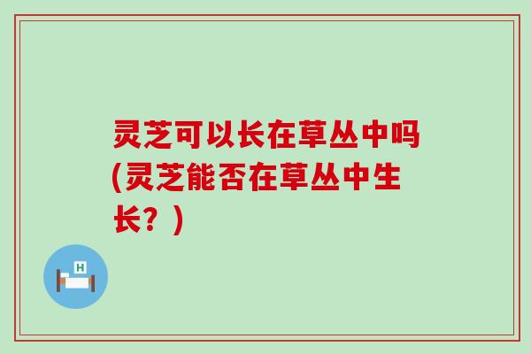 灵芝可以长在草丛中吗(灵芝能否在草丛中生长？)