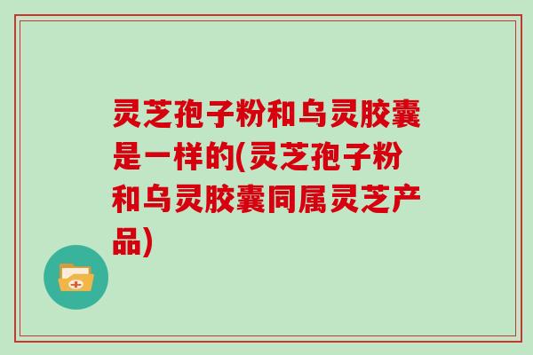 灵芝孢子粉和乌灵胶囊是一样的(灵芝孢子粉和乌灵胶囊同属灵芝产品)