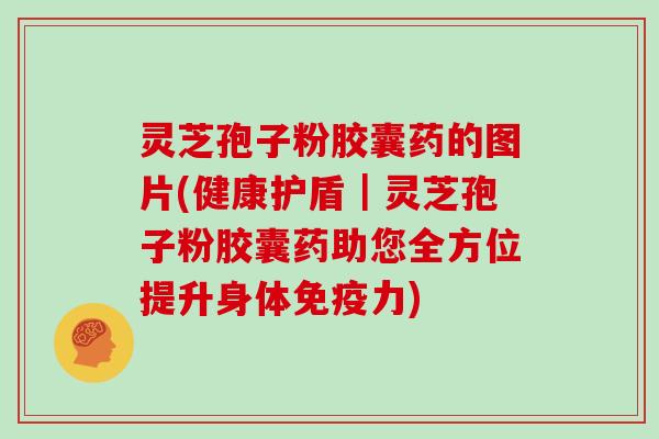 灵芝孢子粉胶囊药的图片(健康护盾｜灵芝孢子粉胶囊药助您全方位提升身体免疫力)