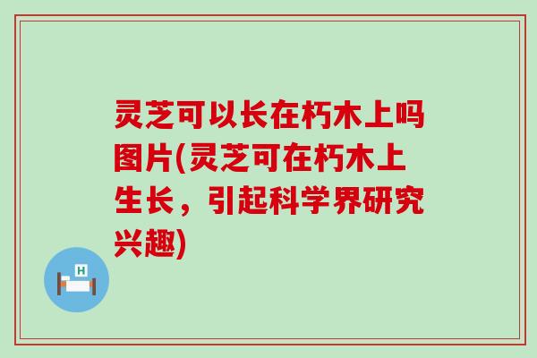 灵芝可以长在朽木上吗图片(灵芝可在朽木上生长，引起科学界研究兴趣)