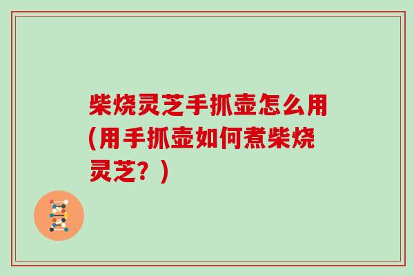 柴烧灵芝手抓壶怎么用(用手抓壶如何煮柴烧灵芝？)