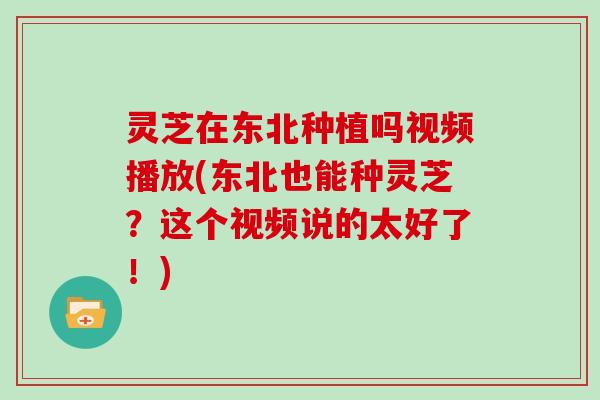 灵芝在东北种植吗视频播放(东北也能种灵芝？这个视频说的太好了！)