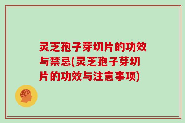 灵芝孢子芽切片的功效与禁忌(灵芝孢子芽切片的功效与注意事项)