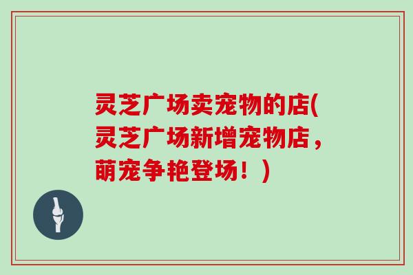 灵芝广场卖宠物的店(灵芝广场新增宠物店，萌宠争艳登场！)