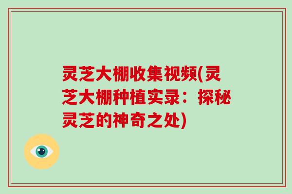 灵芝大棚收集视频(灵芝大棚种植实录：探秘灵芝的神奇之处)