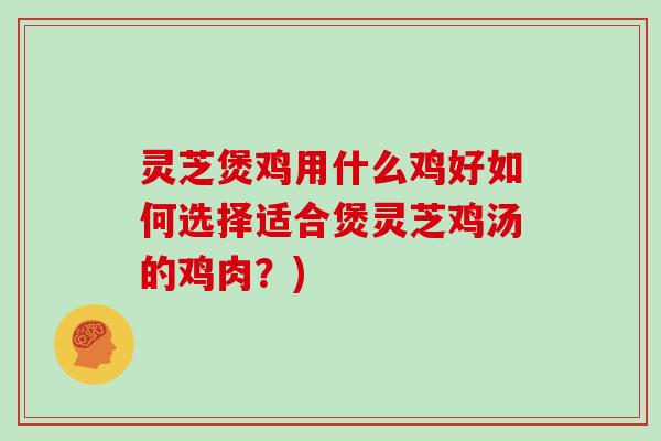 灵芝煲鸡用什么鸡好如何选择适合煲灵芝鸡汤的鸡肉？)