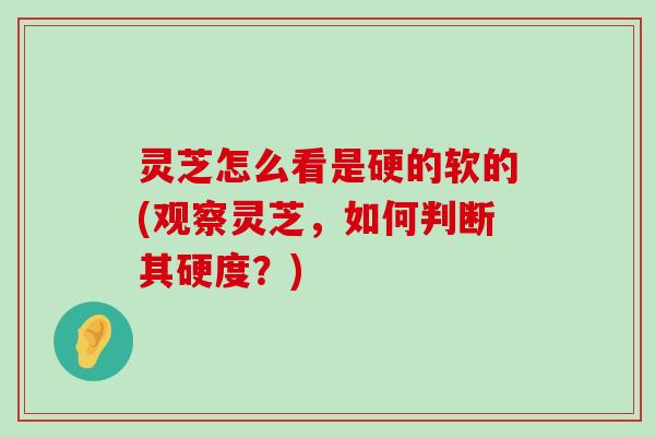 灵芝怎么看是硬的软的(观察灵芝，如何判断其硬度？)