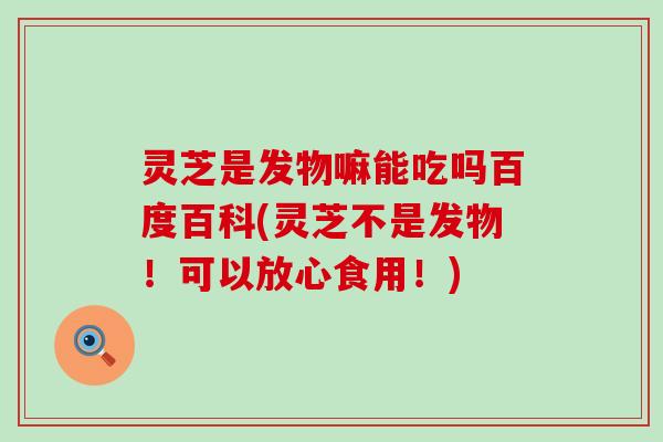 灵芝是发物嘛能吃吗百度百科(灵芝不是发物！可以放心食用！)