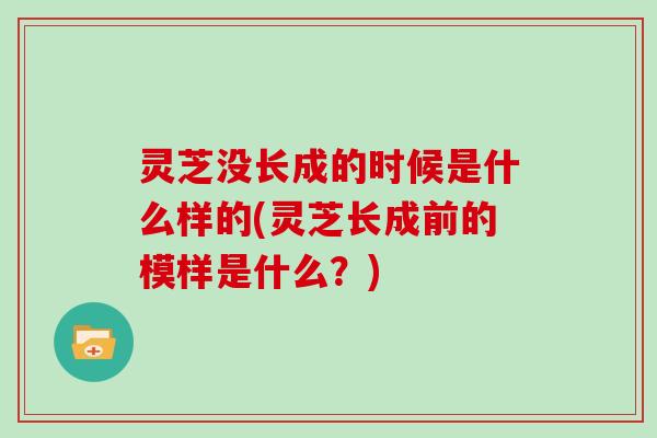 灵芝没长成的时候是什么样的(灵芝长成前的模样是什么？)