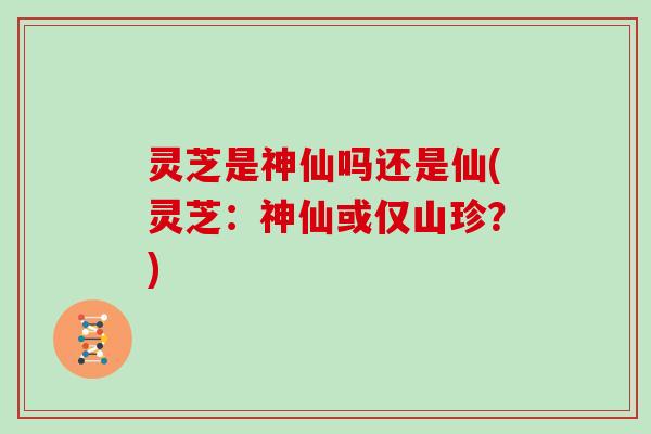 灵芝是神仙吗还是仙(灵芝：神仙或仅山珍？)