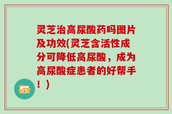 灵芝高尿酸药吗图片及功效(灵芝含活性成分可降低高尿酸，成为高尿酸症患者的好帮手！)