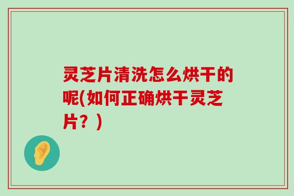 灵芝片清洗怎么烘干的呢(如何正确烘干灵芝片？)