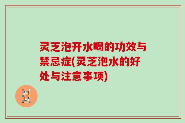 灵芝泡开水喝的功效与禁忌症(灵芝泡水的好处与注意事项)