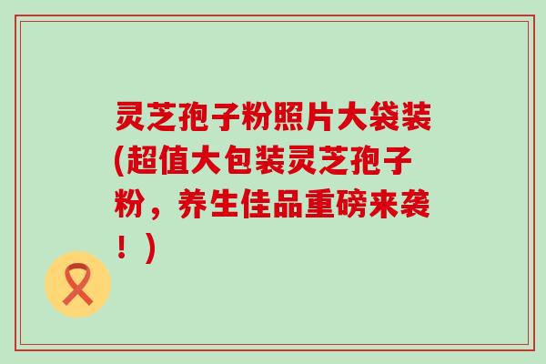 灵芝孢子粉照片大袋装(超值大包装灵芝孢子粉，养生佳品重磅来袭！)