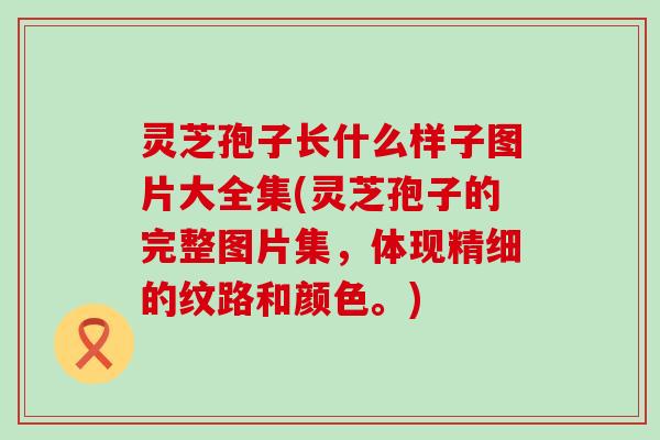 灵芝孢子长什么样子图片大全集(灵芝孢子的完整图片集，体现精细的纹路和颜色。)