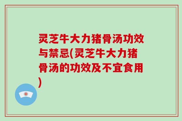 灵芝牛大力猪骨汤功效与禁忌(灵芝牛大力猪骨汤的功效及不宜食用)