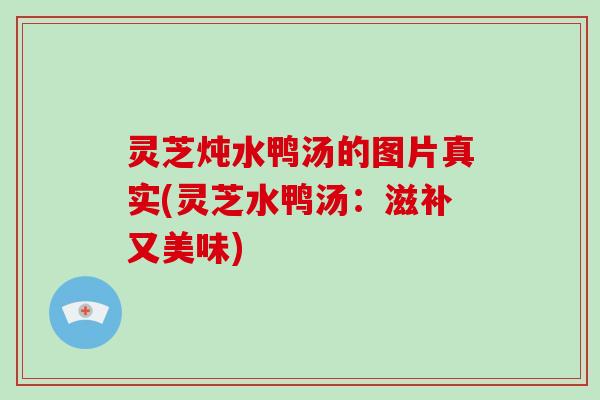 灵芝炖水鸭汤的图片真实(灵芝水鸭汤：滋补又美味)