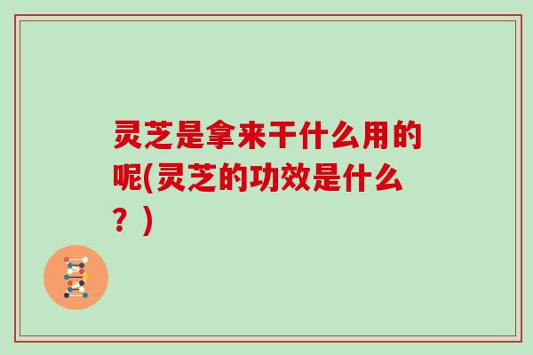 灵芝是拿来干什么用的呢(灵芝的功效是什么？)