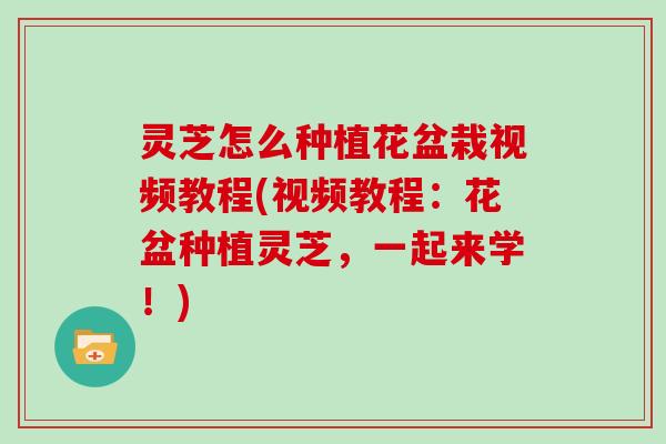 灵芝怎么种植花盆栽视频教程(视频教程：花盆种植灵芝，一起来学！)