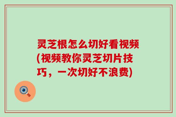 灵芝根怎么切好看视频(视频教你灵芝切片技巧，一次切好不浪费)