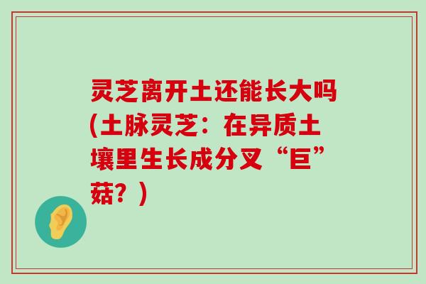 灵芝离开土还能长大吗(土脉灵芝：在异质土壤里生长成分叉“巨”菇？)