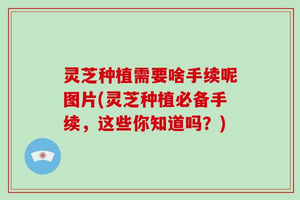 灵芝种植需要啥手续呢图片(灵芝种植必备手续，这些你知道吗？)