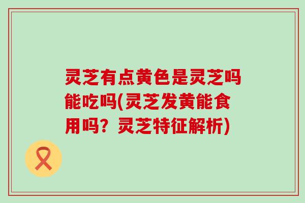 灵芝有点黄色是灵芝吗能吃吗(灵芝发黄能食用吗？灵芝特征解析)