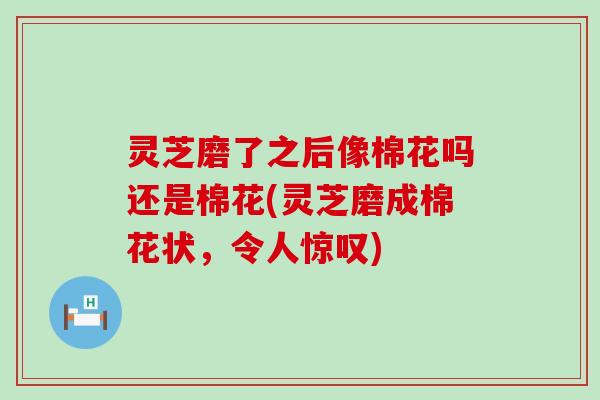 灵芝磨了之后像棉花吗还是棉花(灵芝磨成棉花状，令人惊叹)