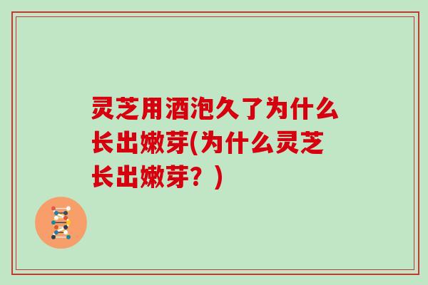 灵芝用酒泡久了为什么长出嫩芽(为什么灵芝长出嫩芽？)