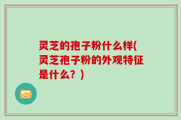 灵芝的孢子粉什么样(灵芝孢子粉的外观特征是什么？)