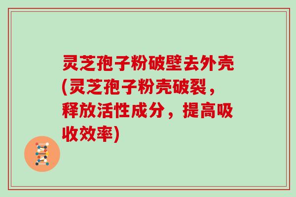 灵芝孢子粉破壁去外壳(灵芝孢子粉壳破裂，释放活性成分，提高吸收效率)