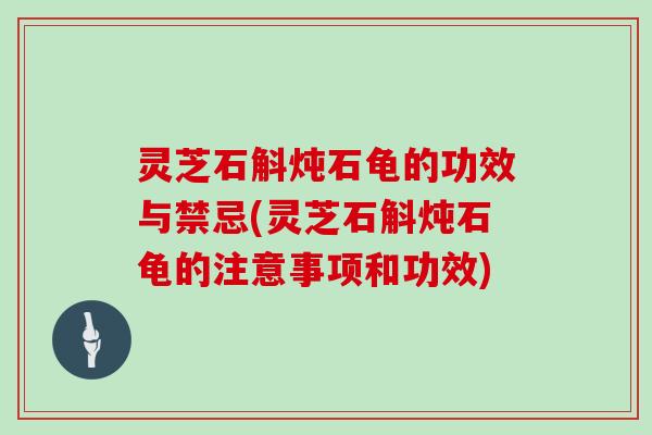 灵芝石斛炖石龟的功效与禁忌(灵芝石斛炖石龟的注意事项和功效)