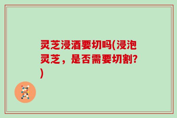 灵芝浸酒要切吗(浸泡灵芝，是否需要切割？)