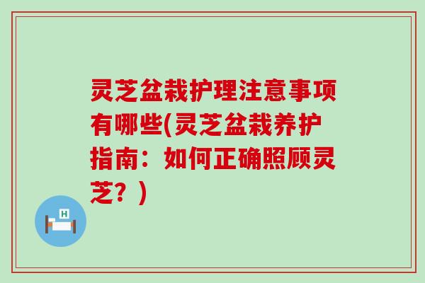 灵芝盆栽护理注意事项有哪些(灵芝盆栽养护指南：如何正确照顾灵芝？)